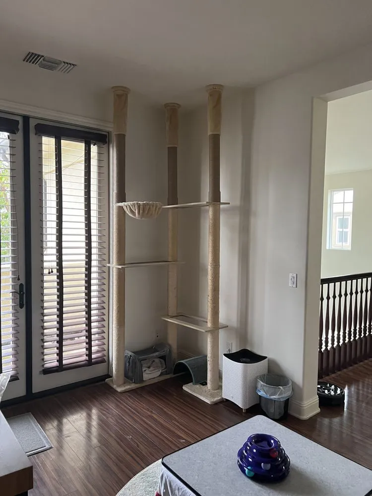 Slide of Alejandro Can Fix It