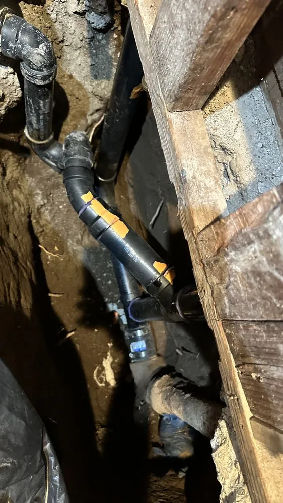 Slide of Aleksandr Lloyd