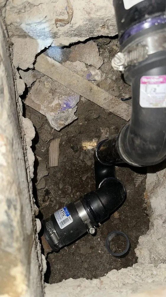 Slide of Aleksandr Lloyd