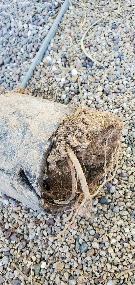 Slide of Alex & Bros Plumbing