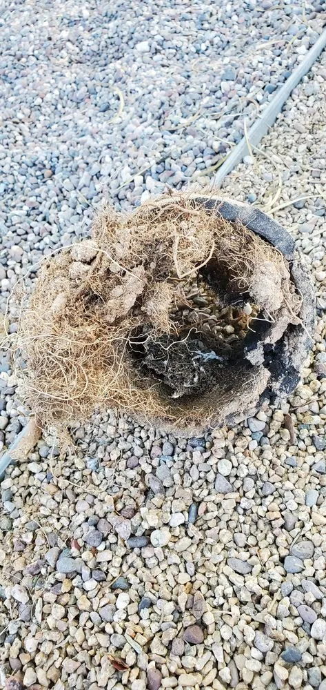 Slide of Alex & Bros Plumbing