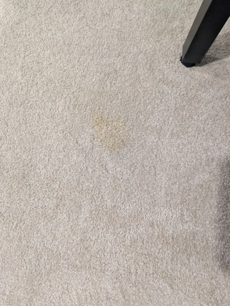 Slide of Alex maintenance