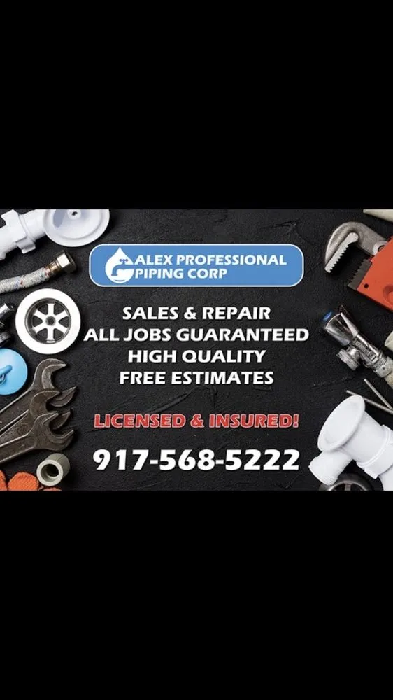 Slide of Alex Professional Piping