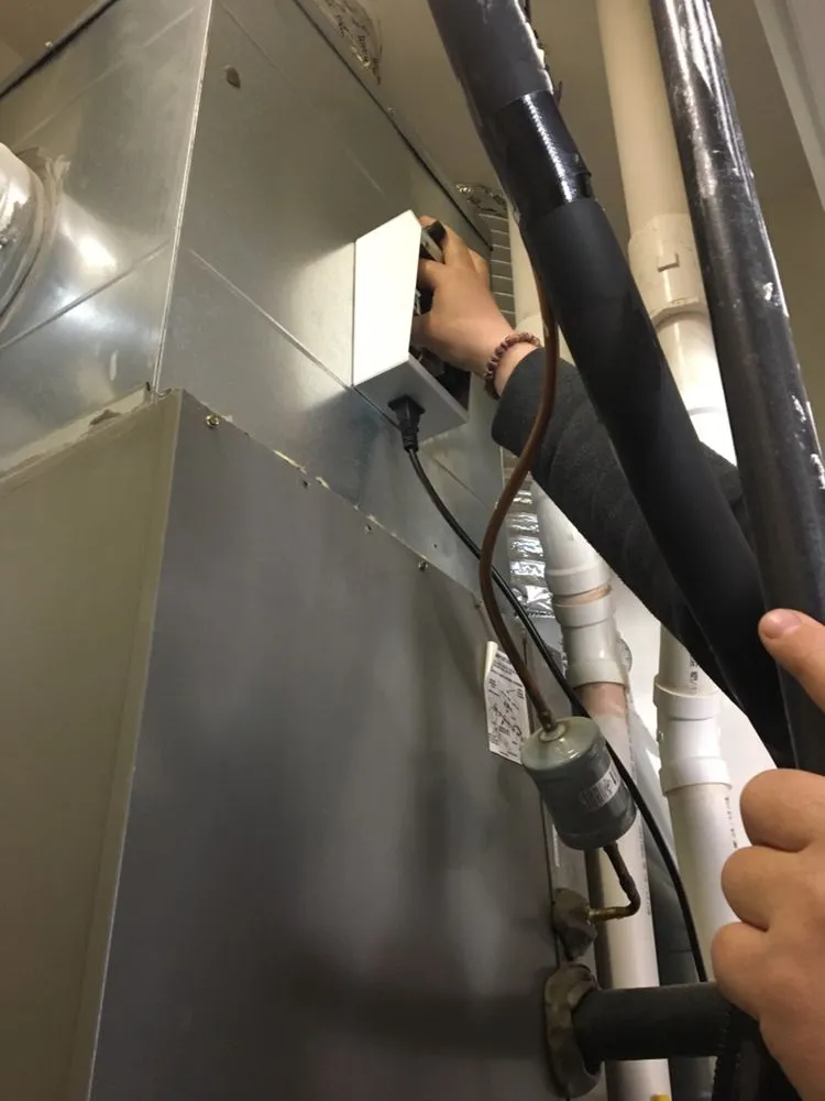 Slide of Alex Quality Services