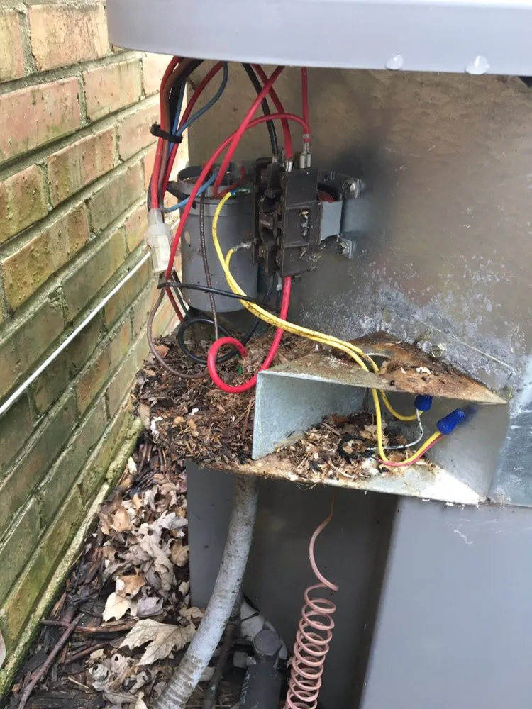 Slide of Alex Quality Services