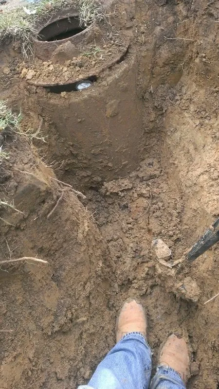 Slide of Alexander & Sons