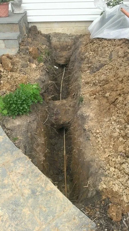 Slide of Alexander & Sons