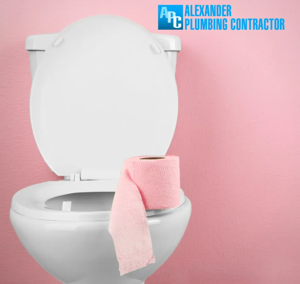 Emergency leak detection experts serving Elgin, IL - Alexander Plumbing