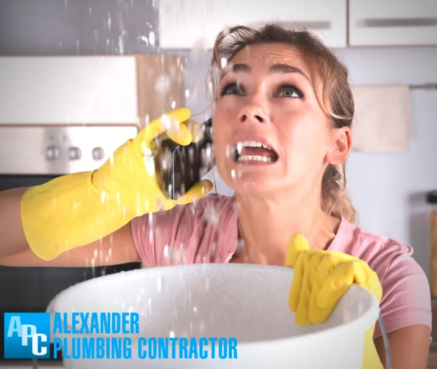 Slide of Alexander Plumbing