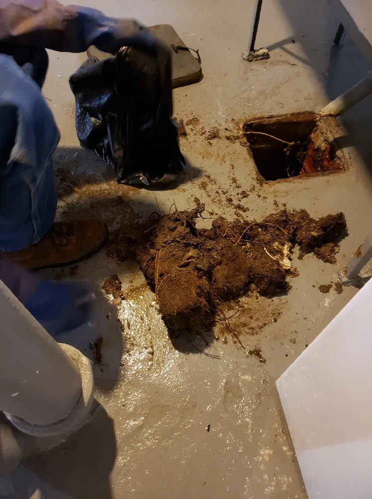 Slide of Alexis Sewer Cleaning