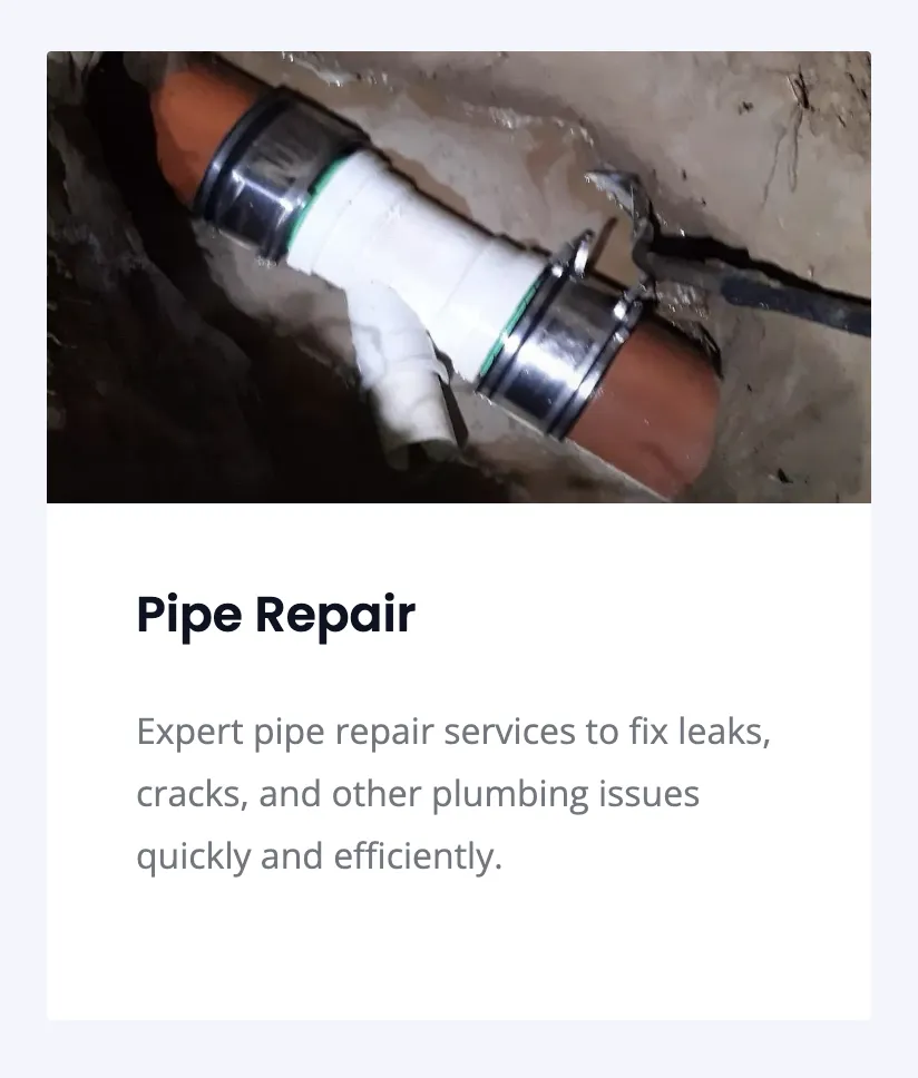 Slide of ALF Plumbing