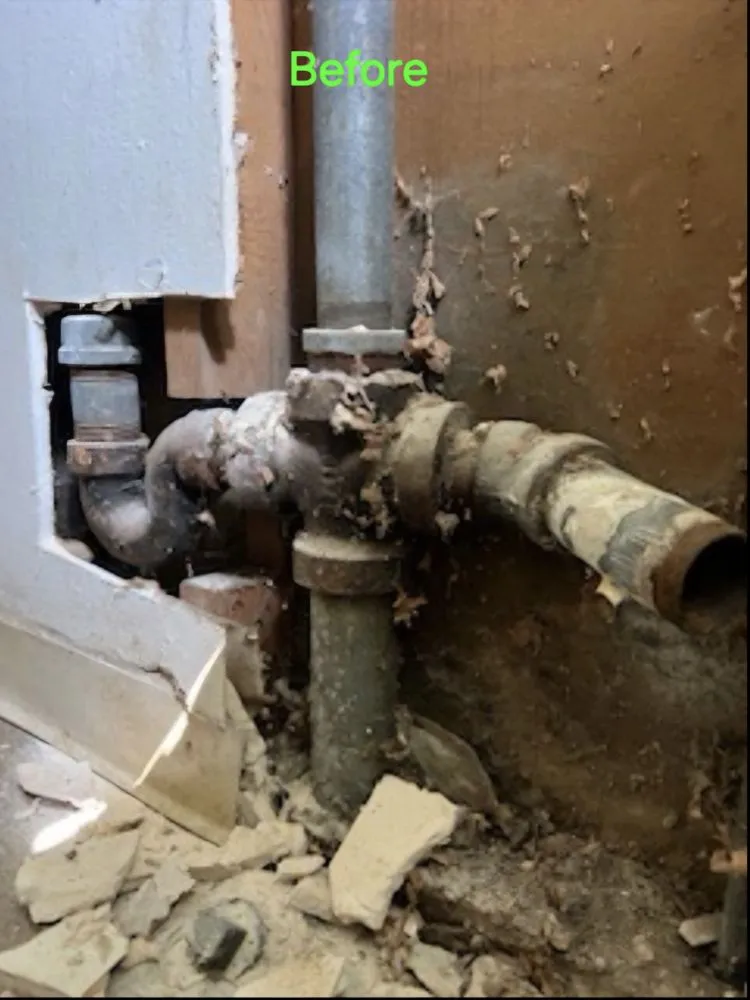 Slide of ALF Plumbing