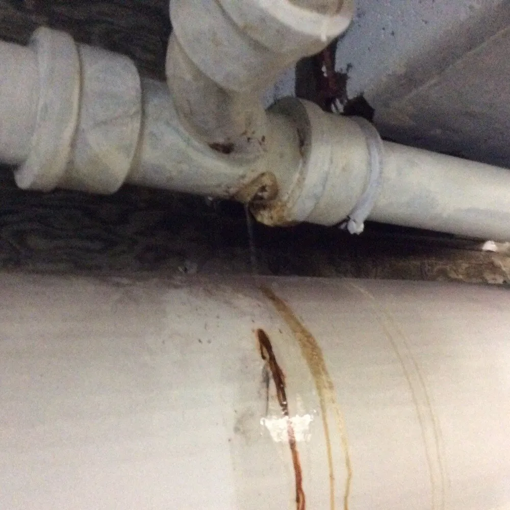 Slide of Alfaros Plumbing