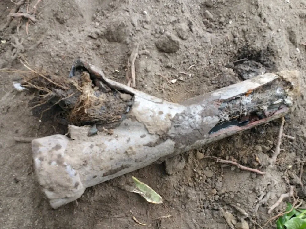 Slide of Alfaros Plumbing