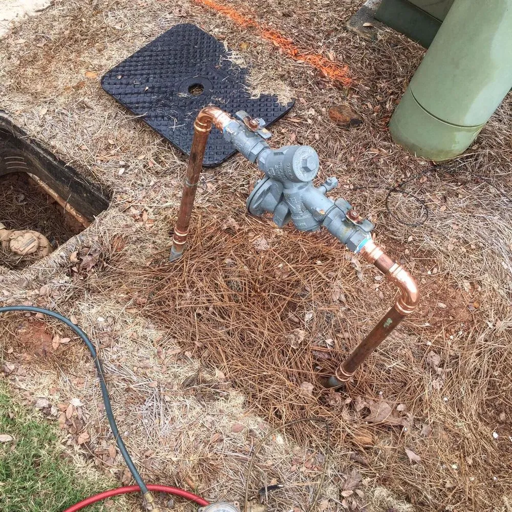 Slide of Alkaline Backflow