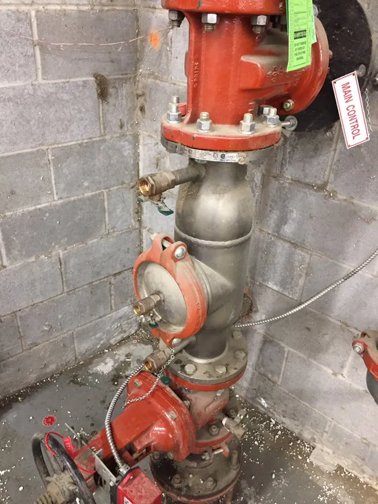 Slide of Alkaline Backflow