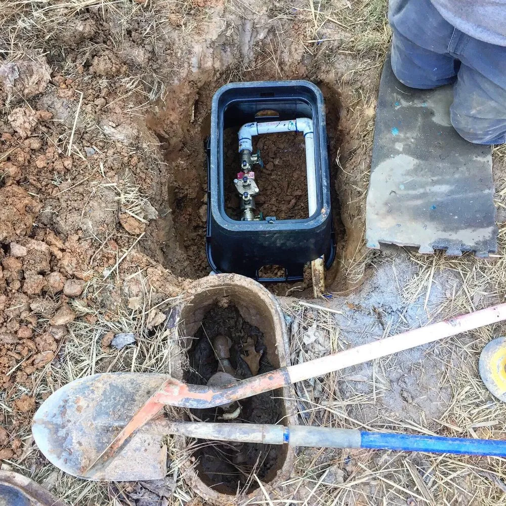 Slide of Alkaline Backflow