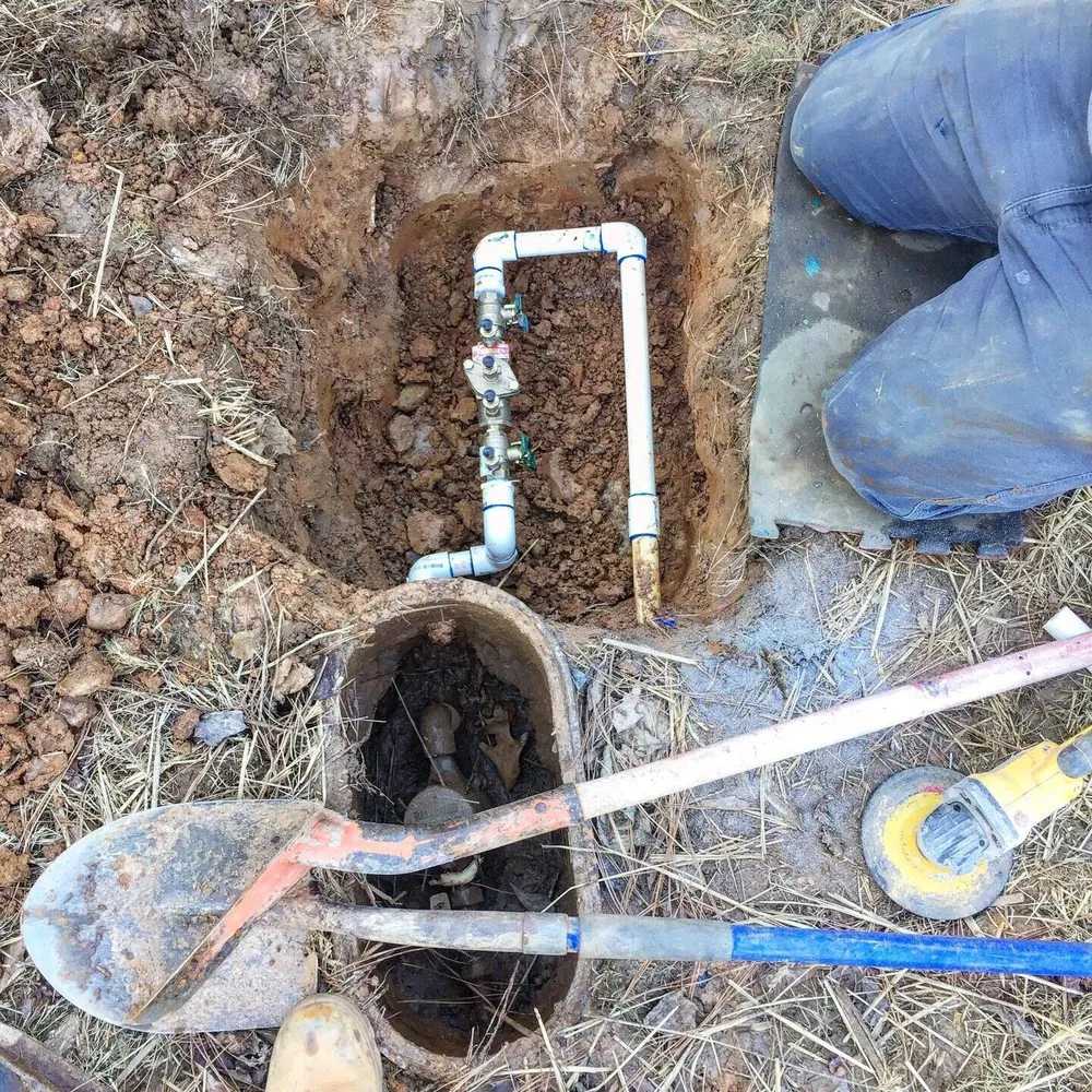 Slide of Alkaline Backflow