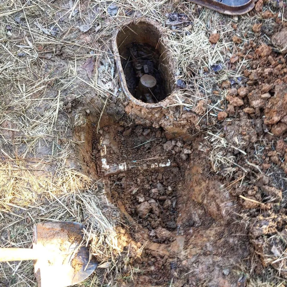 Slide of Alkaline Backflow