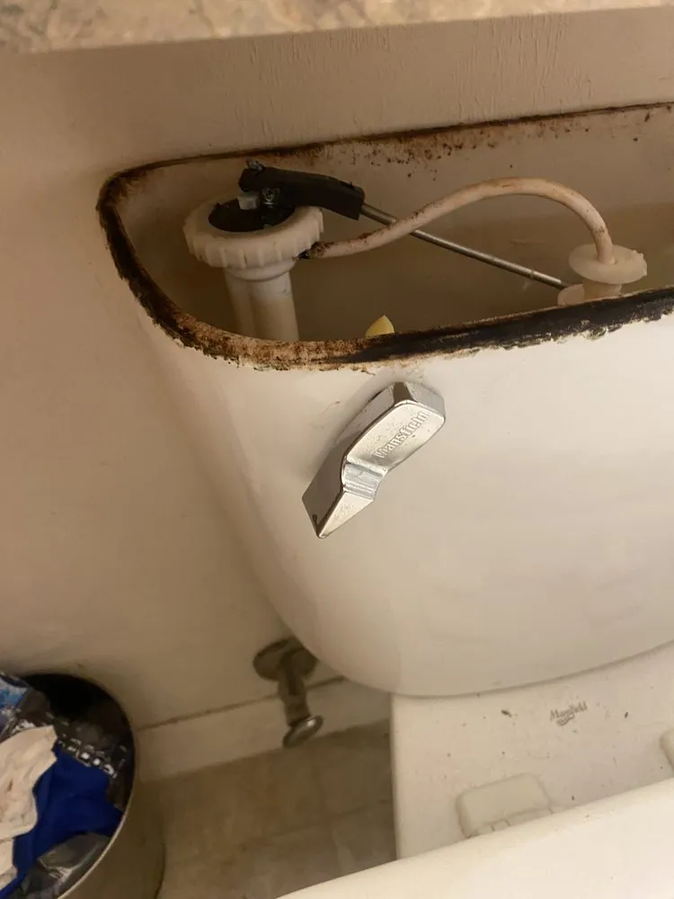 Slide of All 1 Pro Solutions