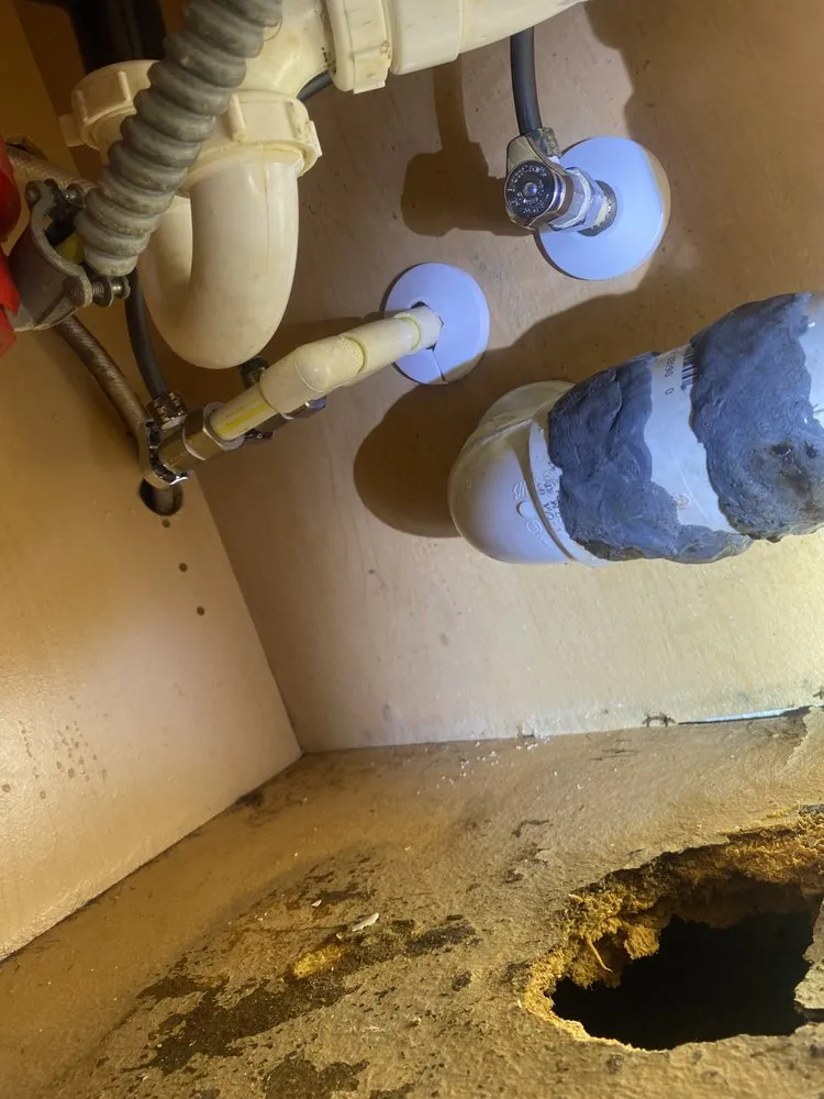 Slide of All 1 Pro Solutions