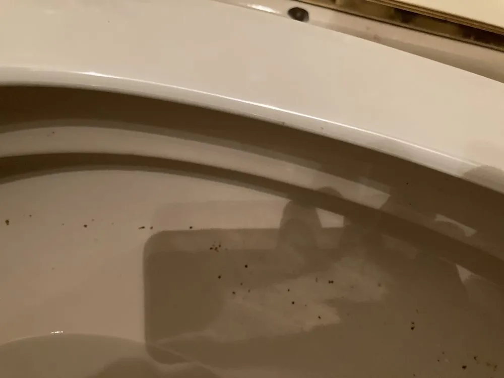 Slide of All 4 One Plumbing