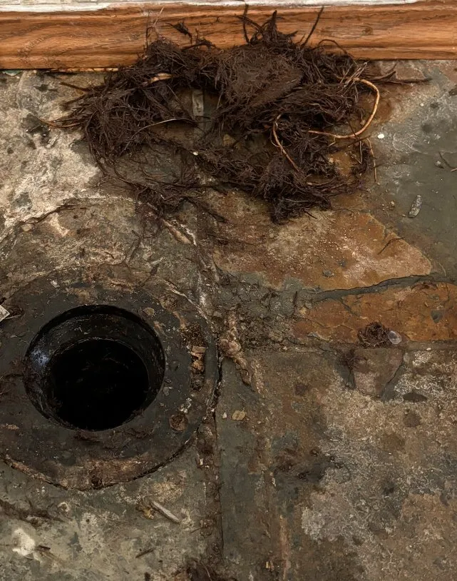 Affordable pipe repair service in San Diego, CA - All About Drains & Plumbing
