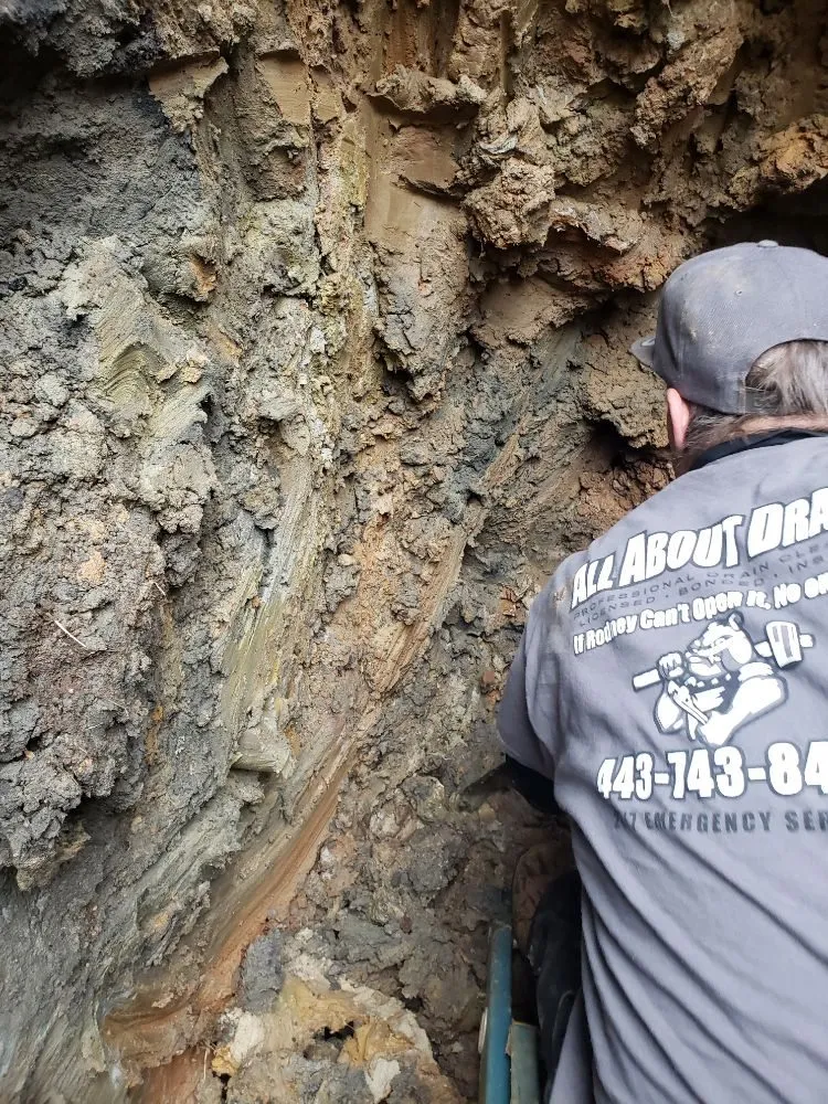 Slide of All About Drains