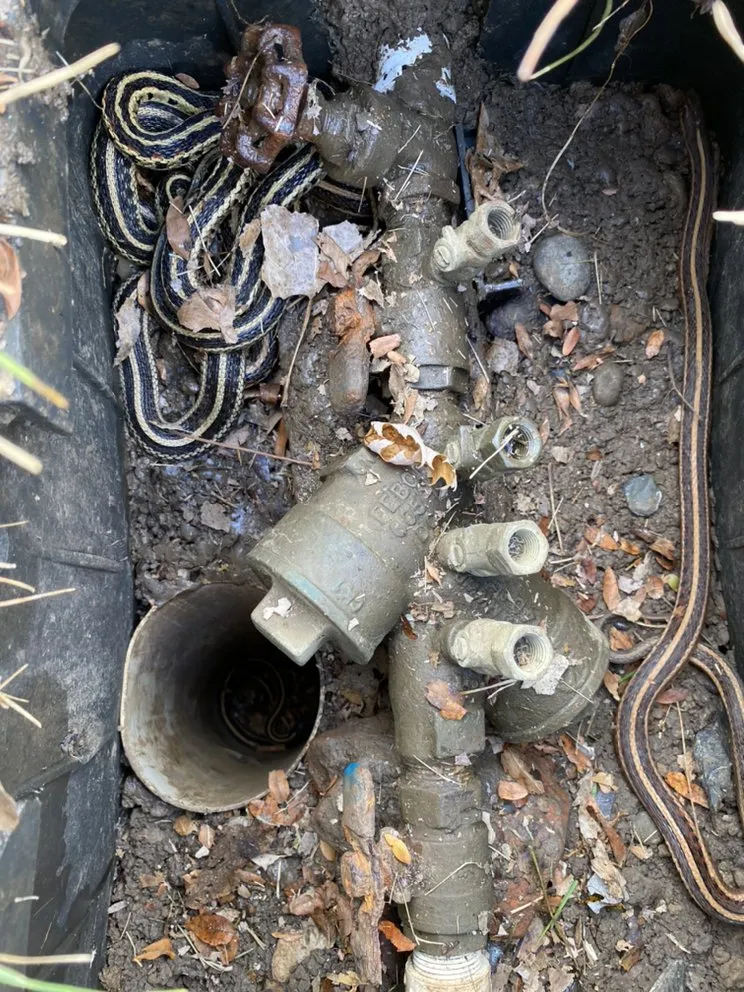 Slide of All About Irrigation