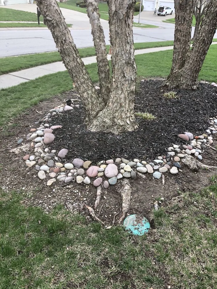 Top-rated drain cleaning for homes in Parkville, MO by All About Irrigation