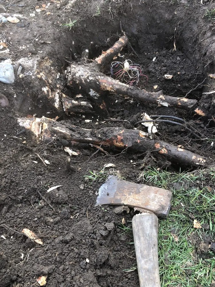 Slide of All About Irrigation