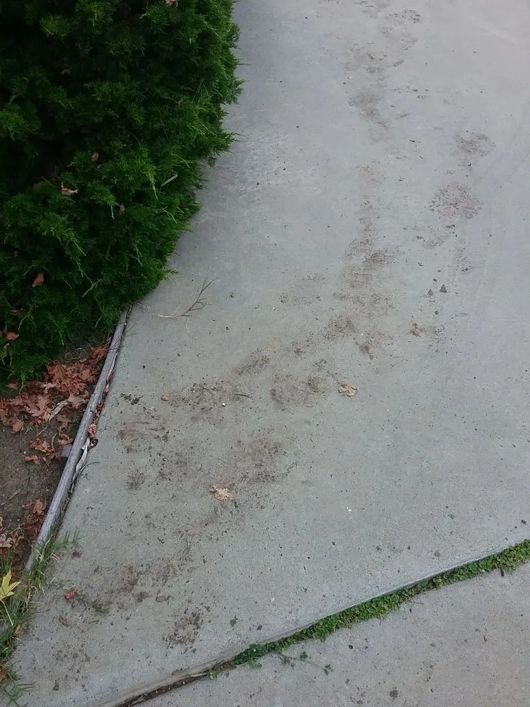 Slide of All About Plumbing