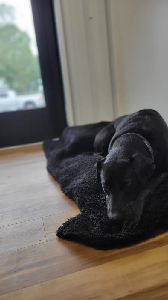 Slide of All About Plumbing SC