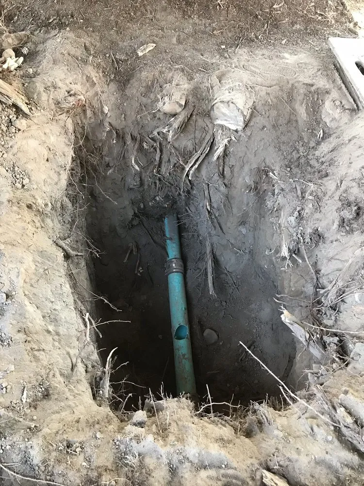 Slide of All About Rooter