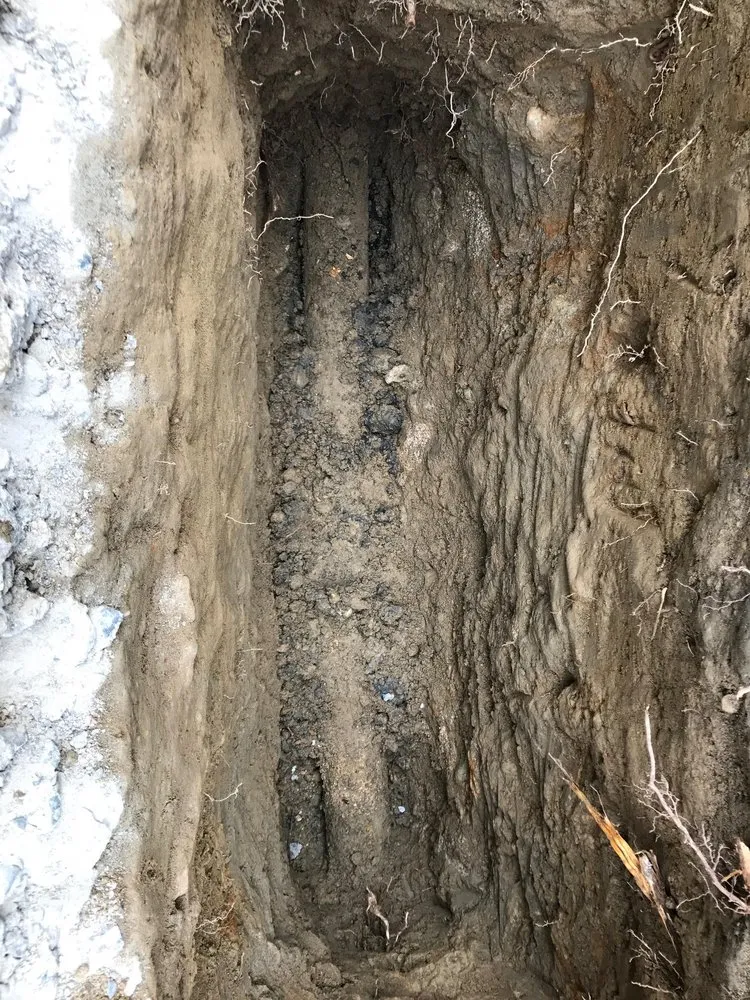 Slide of All About Rooter