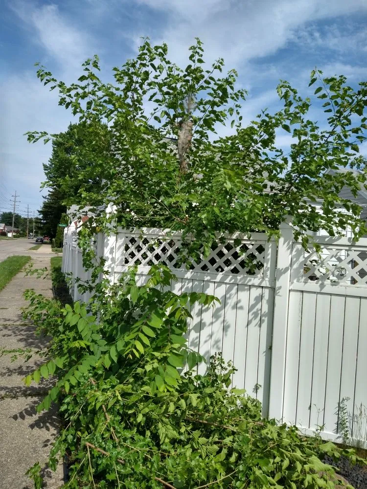 Trusted leak detection experts serving St Clair Shores, MI - All About Service
