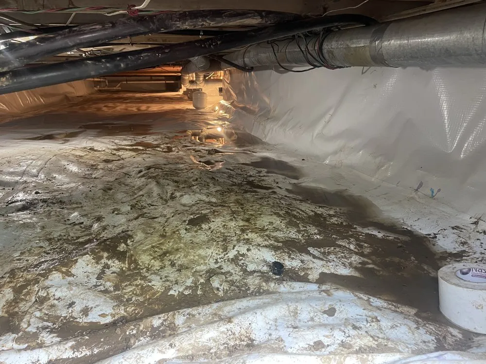 Slide of All About Water