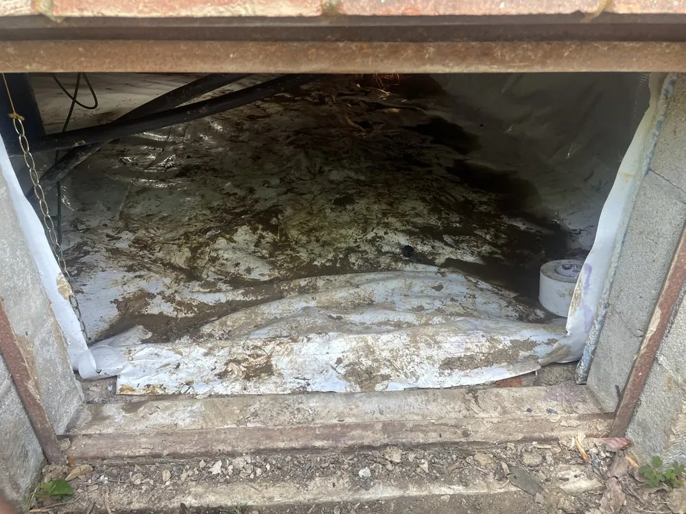 Slide of All About Water