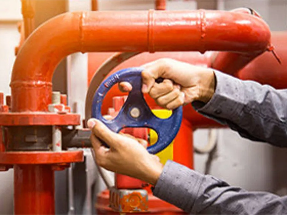 Slide of All Advance Services