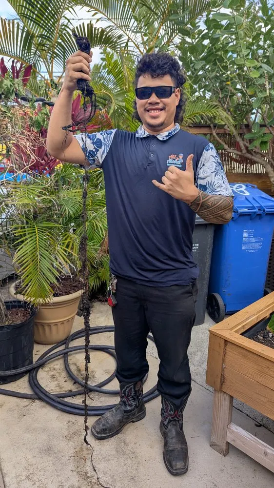 Slide of All Aloha Plumbing Oahu