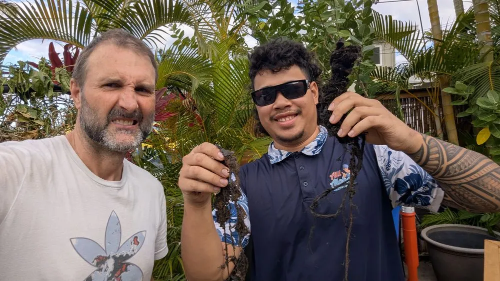 Slide of All Aloha Plumbing Oahu