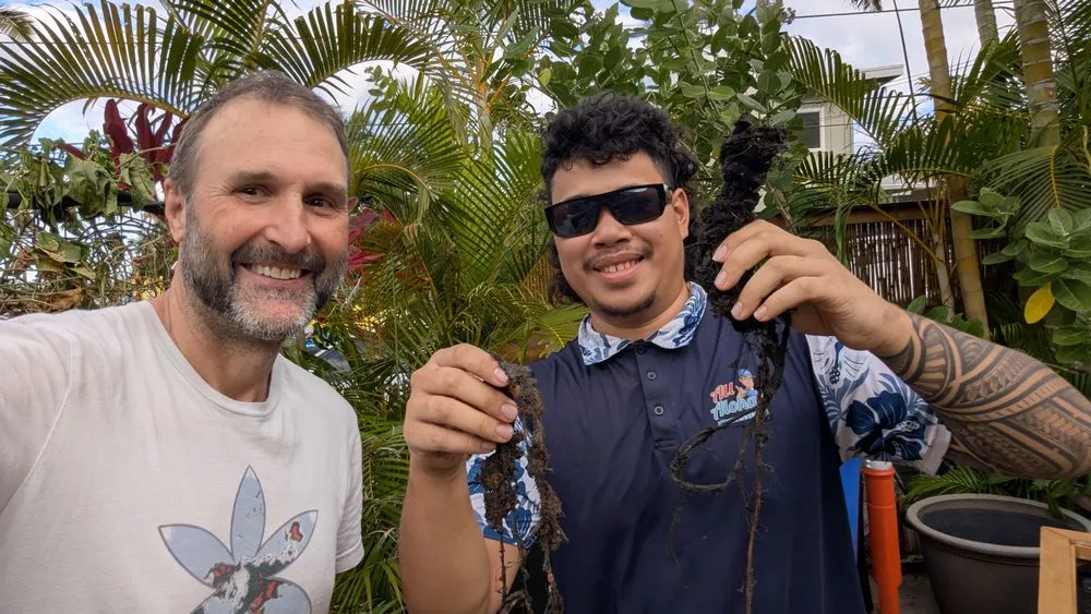Slide of All Aloha Plumbing Oahu