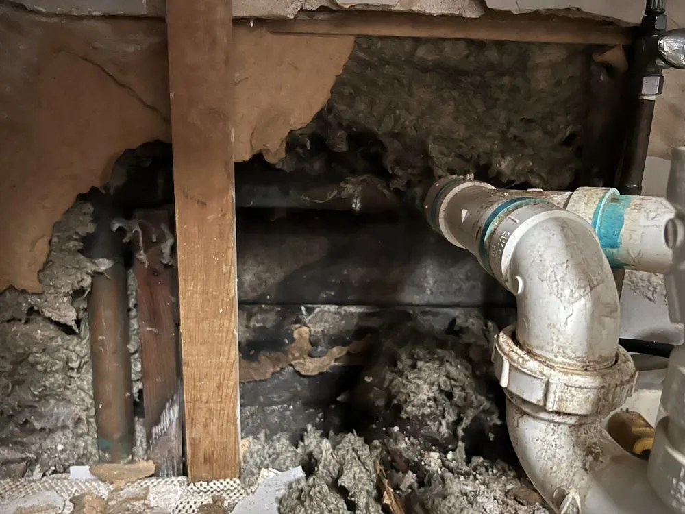 Slide of All American Drain Cleaning & Camera Inspection