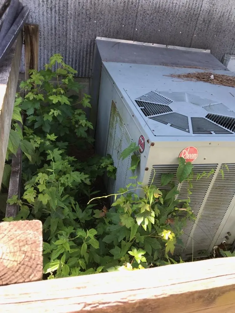 Affordable emergency plumbing in Raleigh, NC by All American Heating, Air & Plumbing