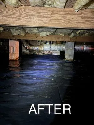 All American Home Services