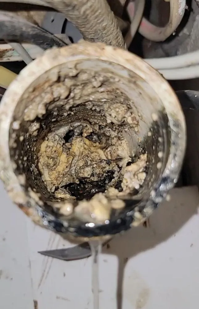 Slide of All American Jetting & Drain Services