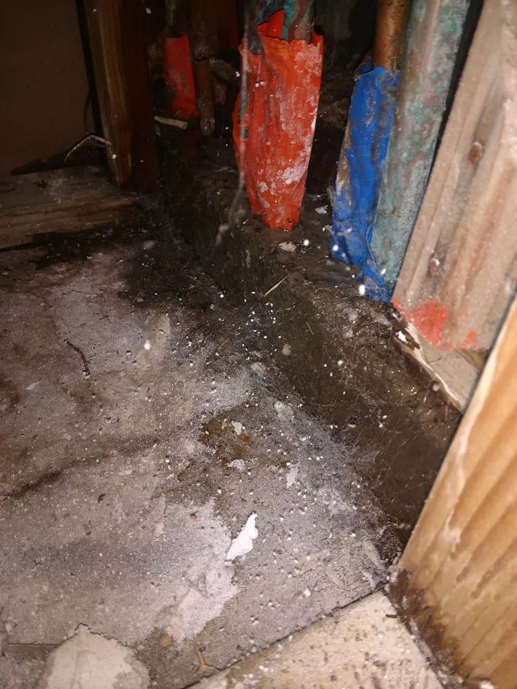 Reliable leak detection experts serving Murrieta, CA - All American Plumbing & Leak Detection