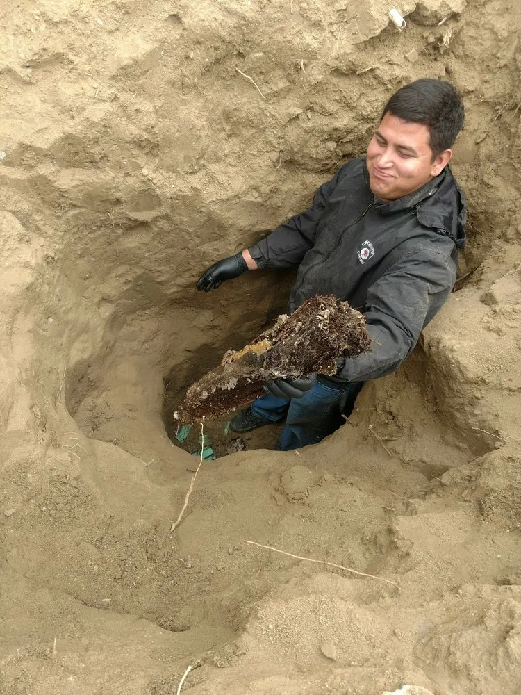 Slide of All American Plumbing & Leak Detection