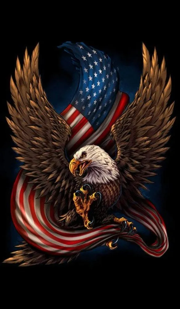 Slide of All American Plumbing and Drain