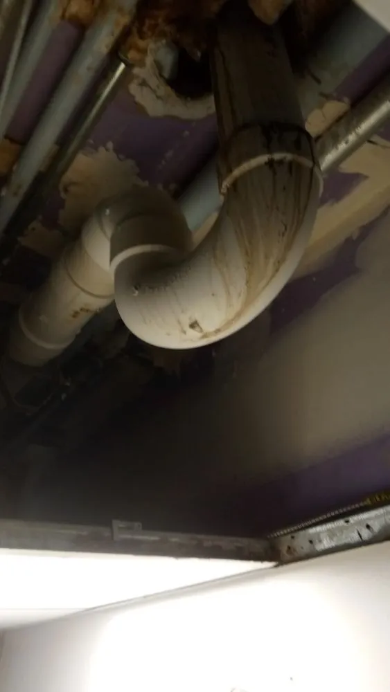 Expert leak detection experts serving Detroit, MI - All American Plumbing Contractors